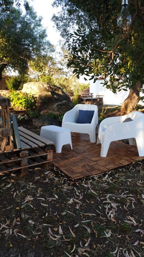 Holiday home - Alebea - Olbia