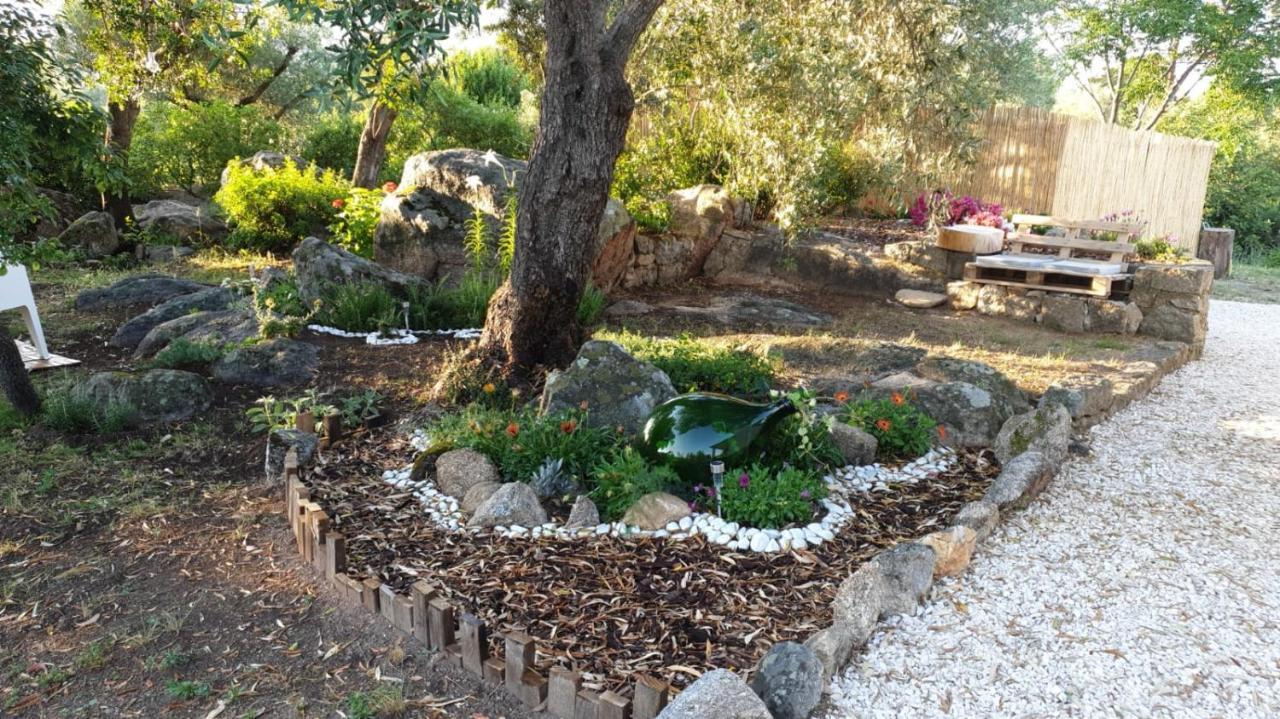 - Alebea - Olbia